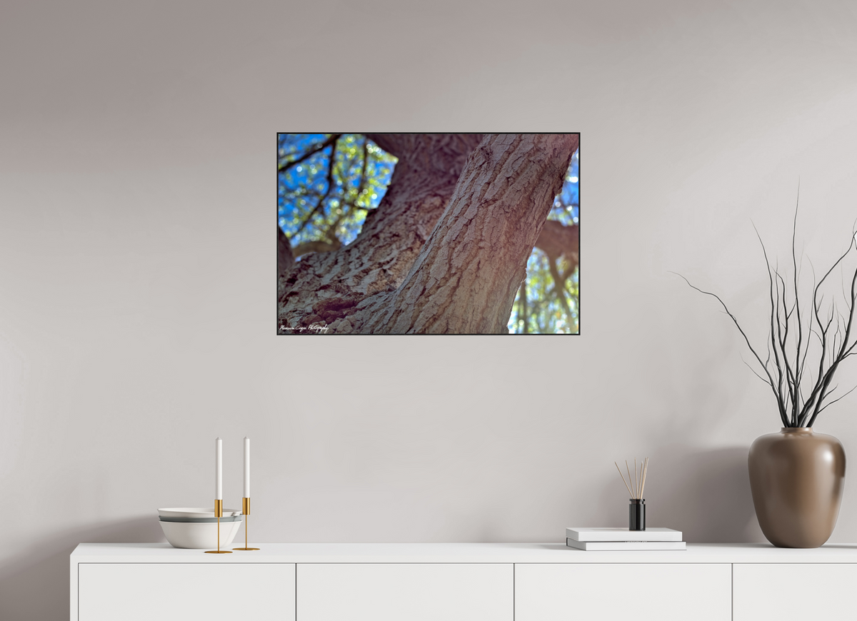 30 x 20″, Glossy Acrylic Glass in ArtBox Wood Frame (Black Oak) Cottonwood at Challenger Park