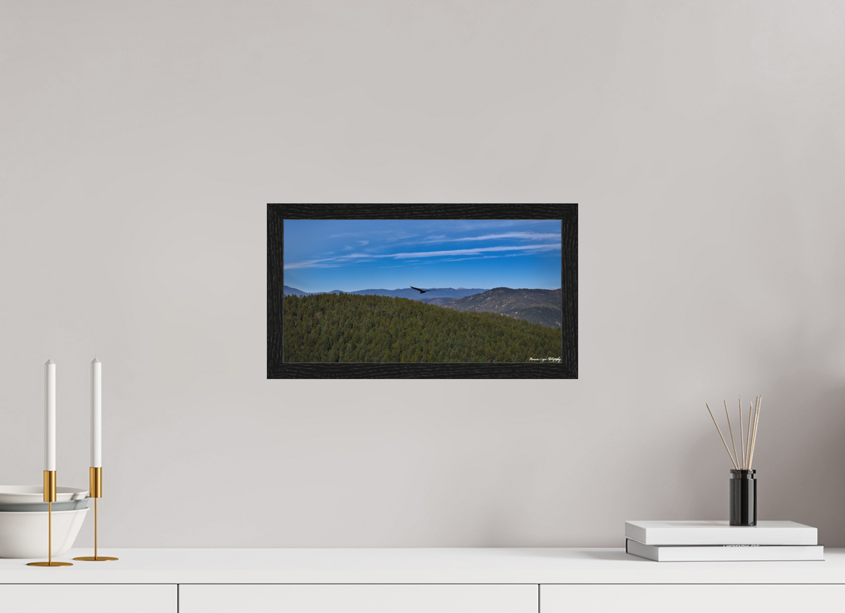 15 x 8″, Matte Acrylic Glass in Hamburg Frame (Black Oak) Bird Soars Over Forest Behind Carpenter's Peak
