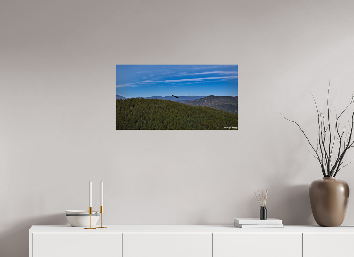 29.9 x 16″, ChromaLuxe HD Metal Print Bird Soars Over Forest Behind Carpenter's Peak