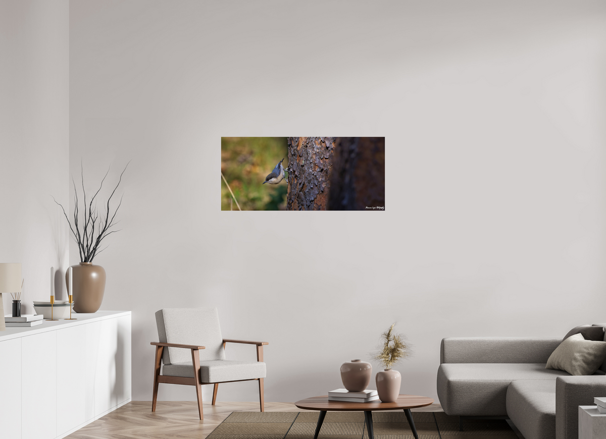 44.3 x 20″, ChromaLuxe HD Metal Print Chickadee in Lost Canyon Ranch