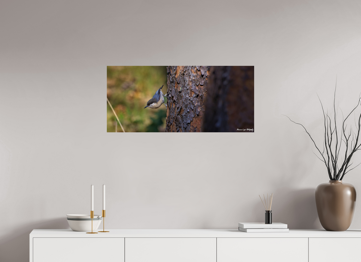 35.4 x 16″, ChromaLuxe HD Metal Print Chickadee in Lost Canyon Ranch