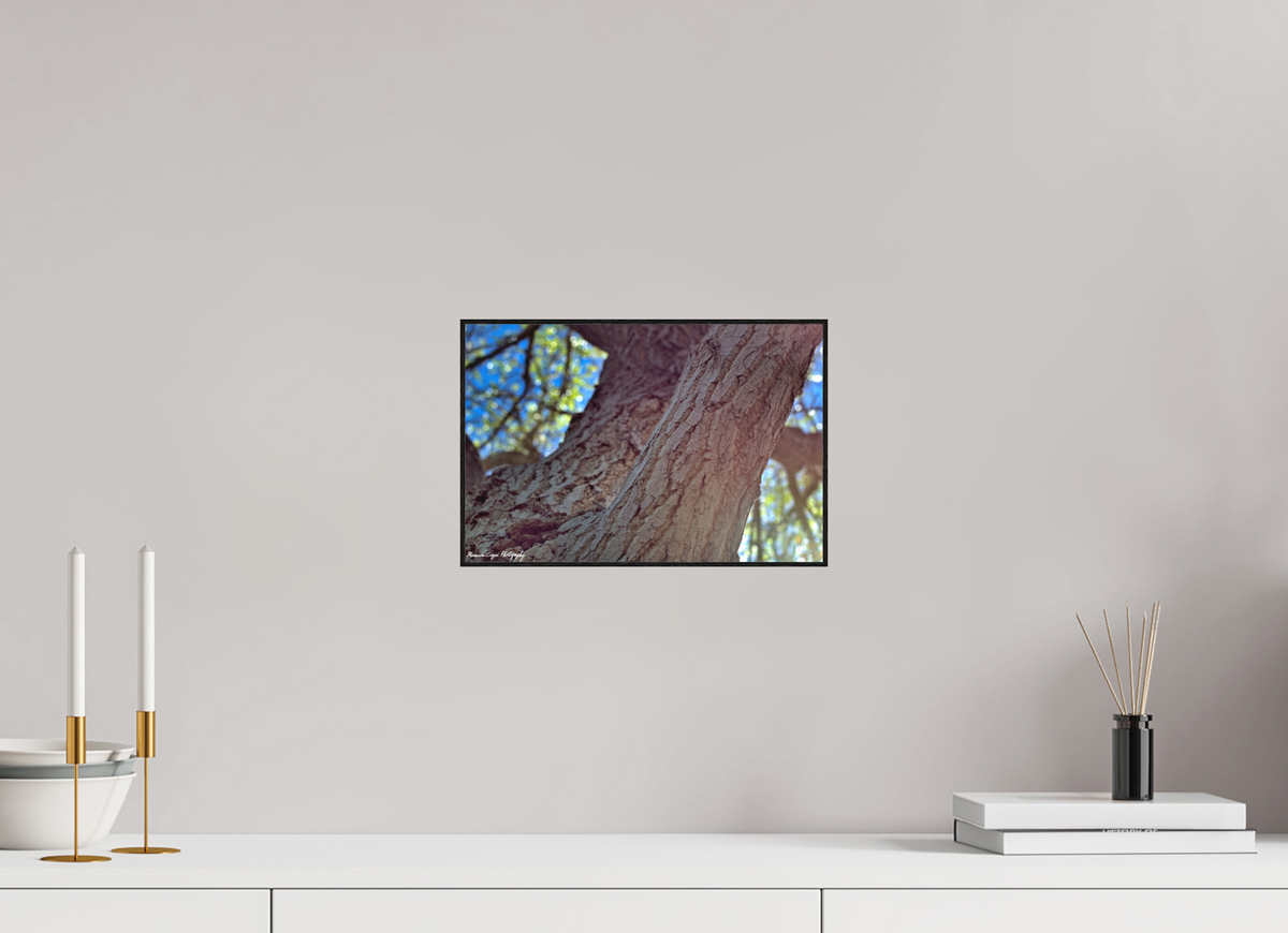 12 x 8″, Matte Acrylic Glass in ArtBox Wood Frame (Black Oak) Cottonwood at Challenger Park