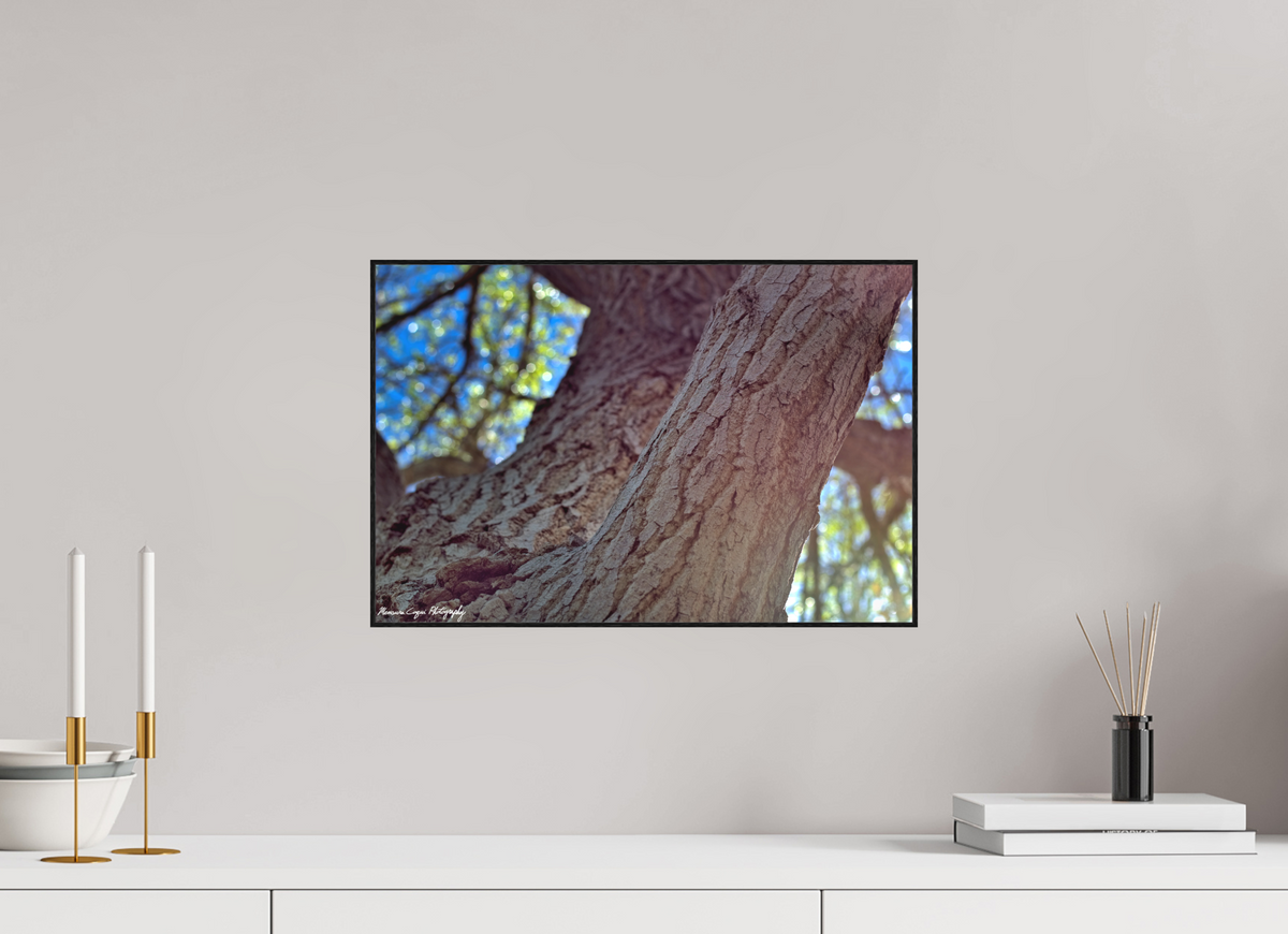 18 x 12″, Matte Acrylic Glass in ArtBox Wood Frame (Black Oak) Cottonwood at Challenger Park