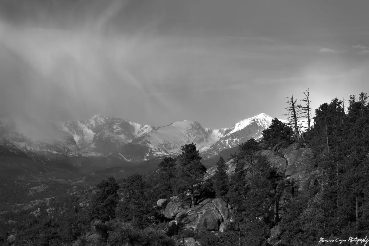 Black and white landscape photograph of snow-capped mountains behind a forested rocky hillside under a dramatic cloudy sky.