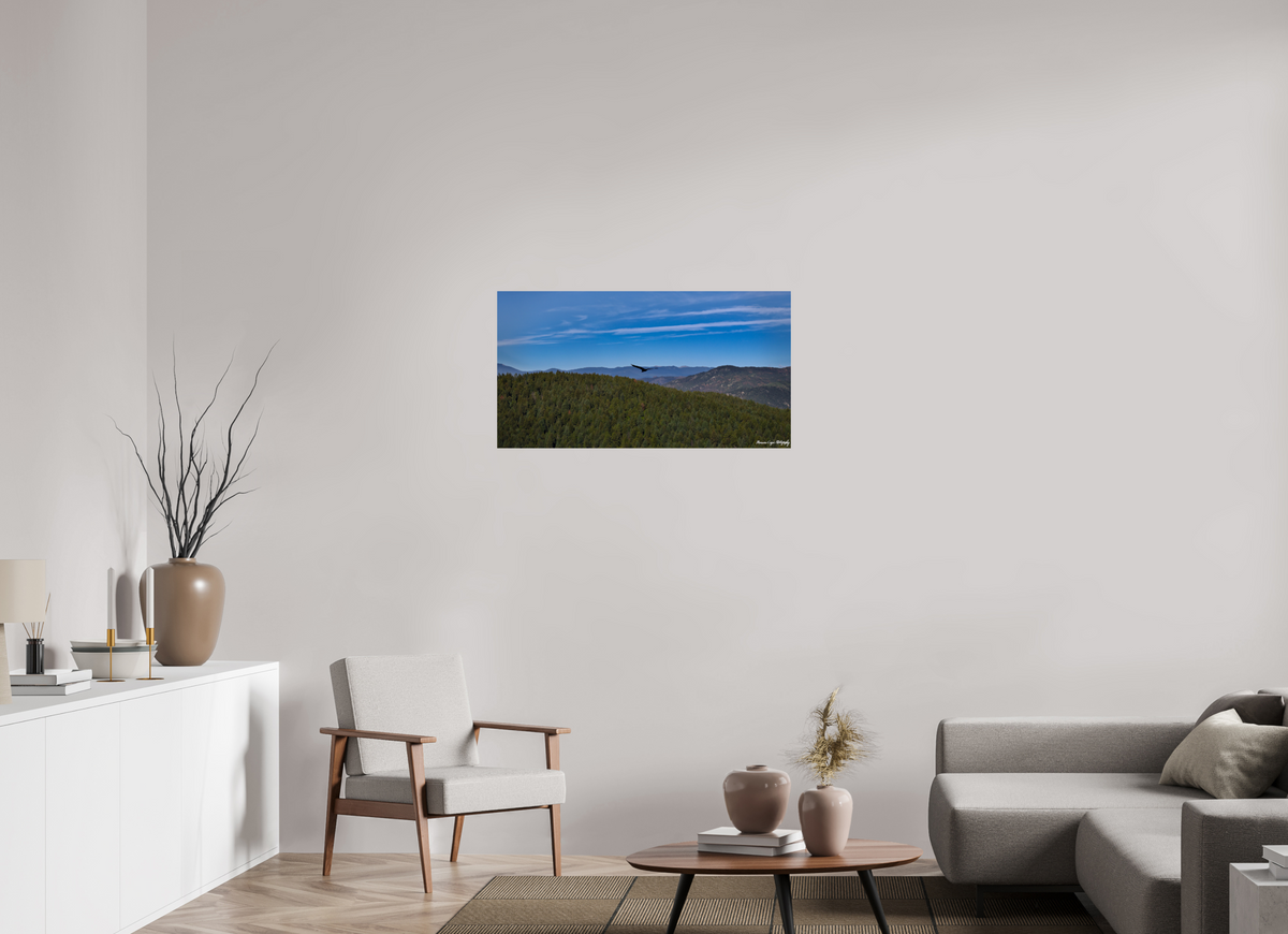 37.4 x 20″, ChromaLuxe HD Metal Print Bird Soars Over Forest Behind Carpenter's Peak