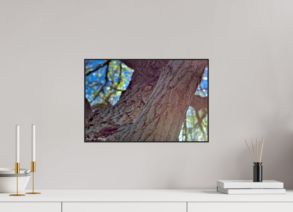 18 x 12″, Glossy Acrylic Glass in ArtBox Wood Frame (Black Oak) Cottonwood at Challenger Park