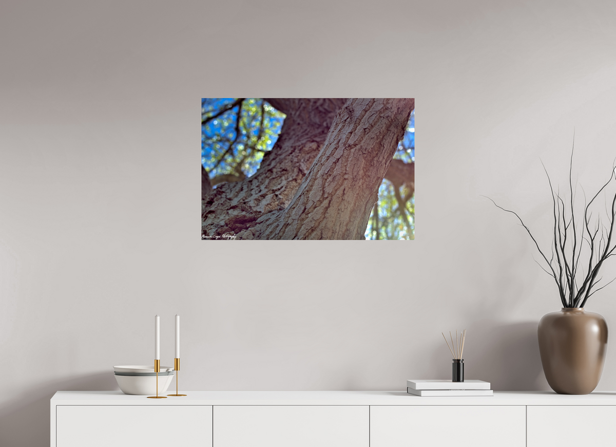 30 x 20″, ChromaLuxe Standard Cottonwood at Challenger Park