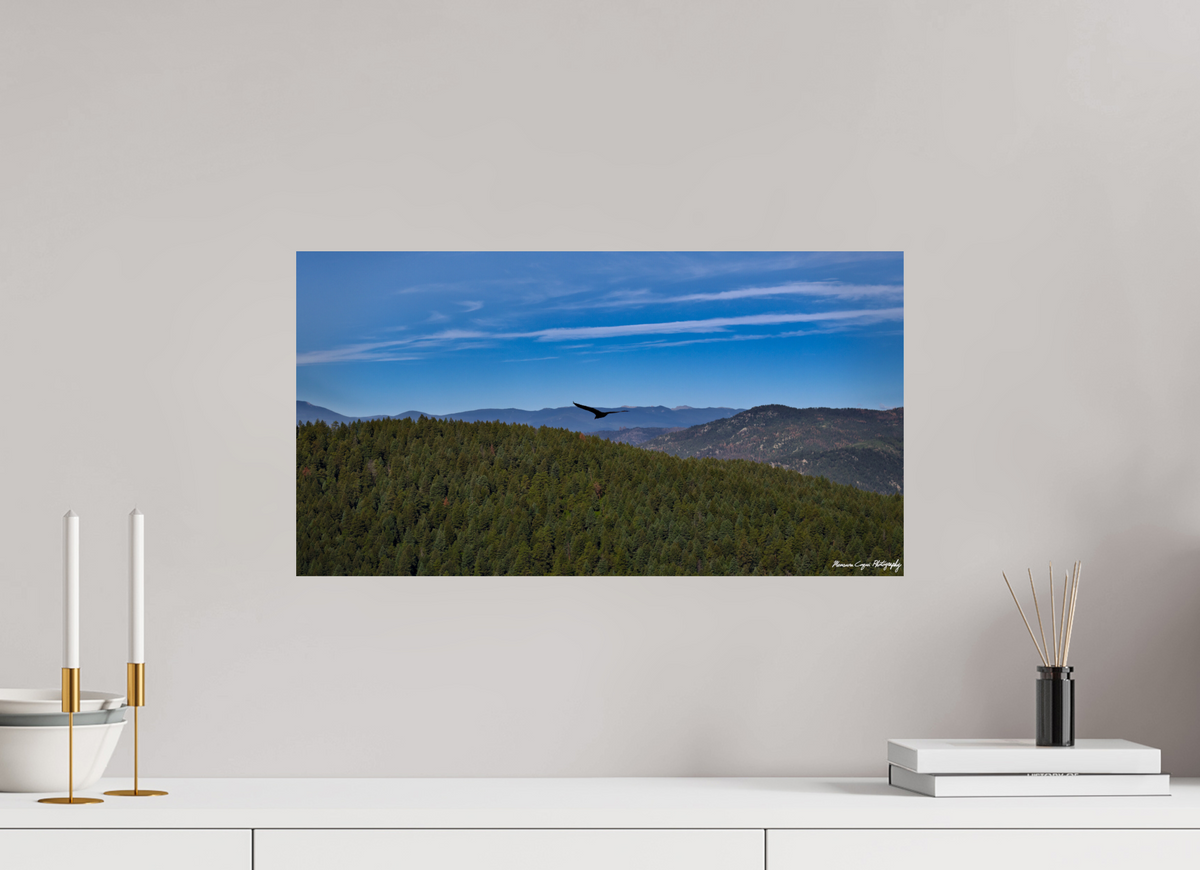 22.4 x 12″, ChromaLuxe HD Metal Print Bird Soars Over Forest Behind Carpenter's Peak