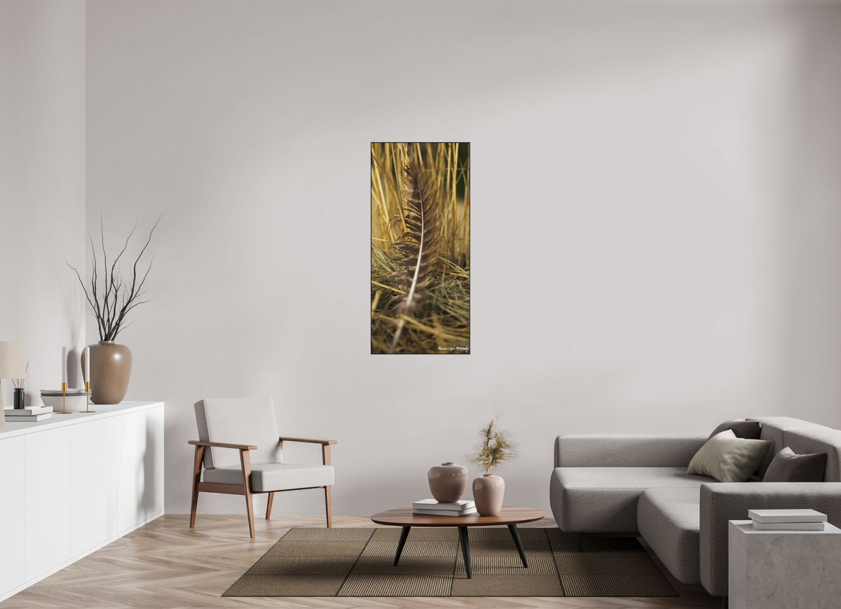 24 x 51.7″, Matte Acrylic Glass in ArtBox Wood Frame (Black Oak) Feather Lost in Grass at Chatfield State Park