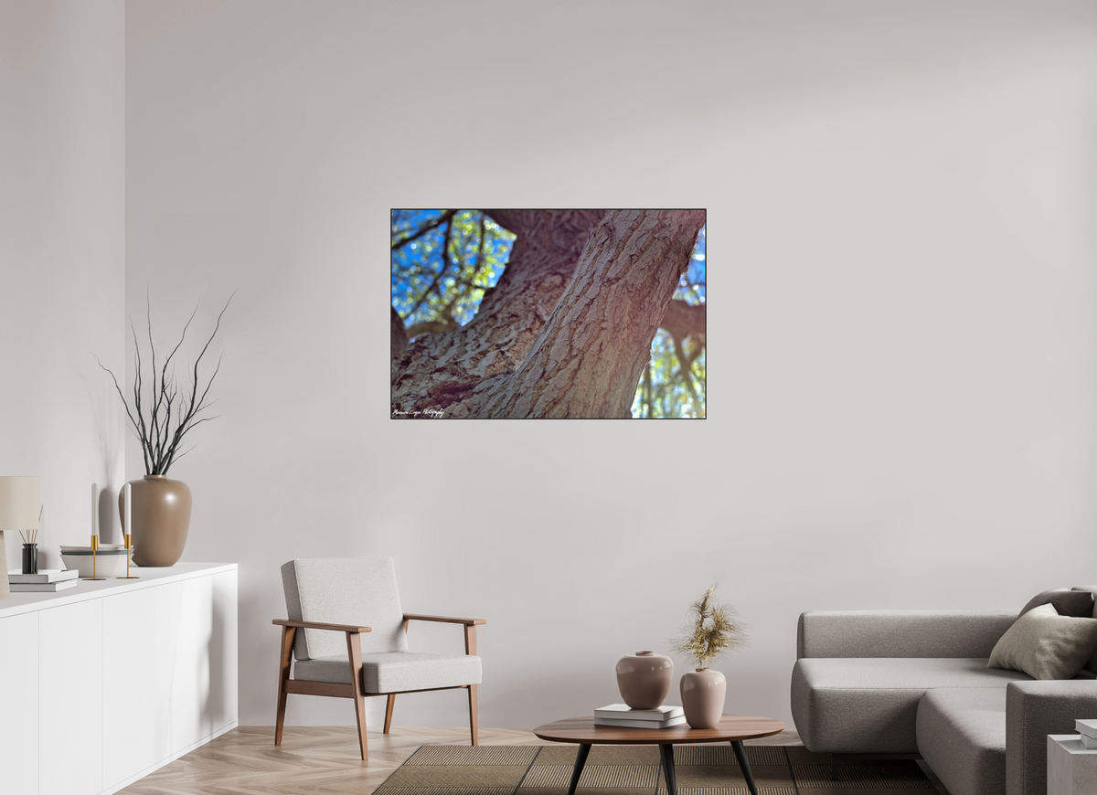46.6 x 31″, Matte Acrylic Glass in ArtBox Wood Frame (Black Oak) Cottonwood at Challenger Park