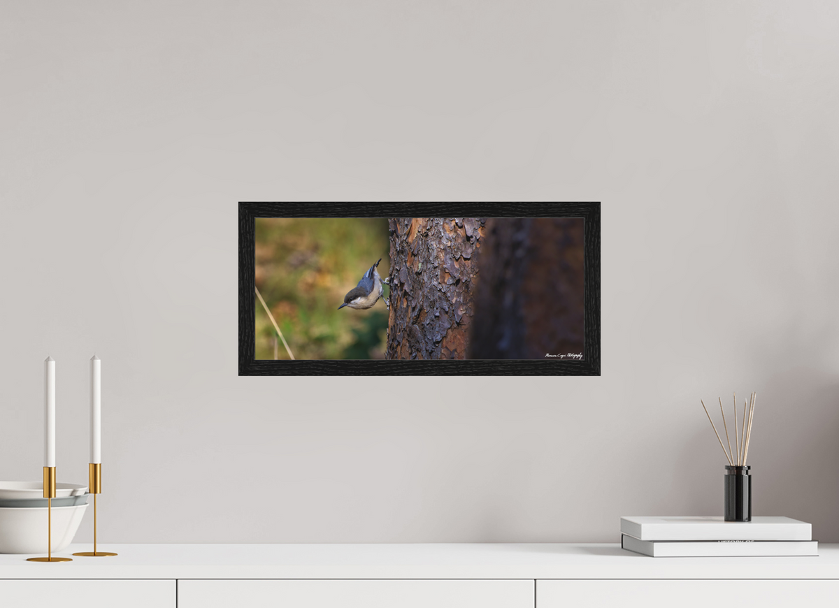 17.7 x 8″, Matte Acrylic Glass in Hamburg Frame (Black Oak) Chickadee in Lost Canyon Ranch