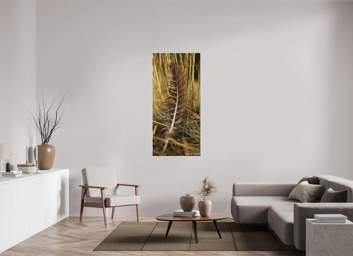 28 x 60.3″, ChromaLuxe HD Metal Print Feather Lost in Grass at Chatfield State Park