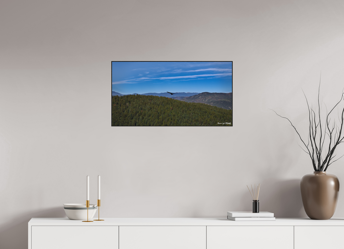 29.9 x 16″, Matte Acrylic Glass in ArtBox Wood Frame (Black Oak) Bird Soars Over Forest Behind Carpenter's Peak