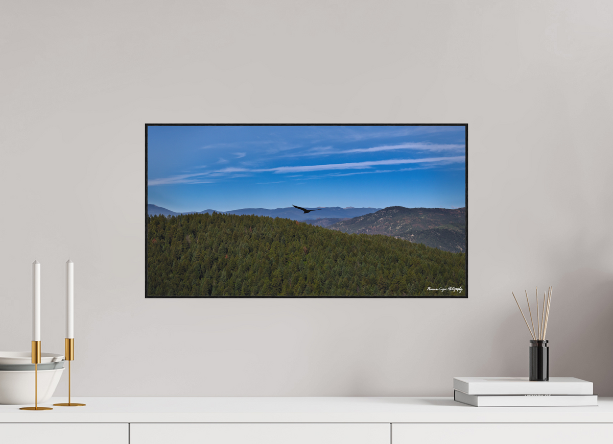 22.4 x 12″, Matte Acrylic Glass in ArtBox Wood Frame (Black Oak) Bird Soars Over Forest Behind Carpenter's Peak