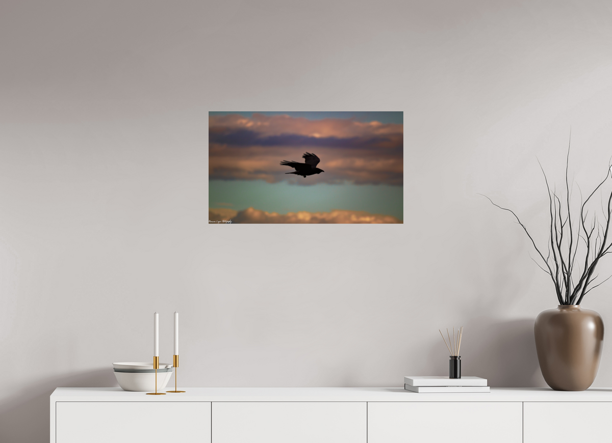 27.6 x 16″, ChromaLuxe Standard Crow at Chatfield State Park, Sunrise