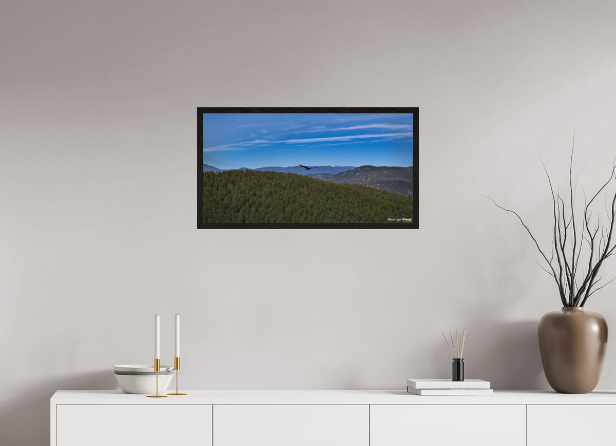 29.9 x 16″, Matte Acrylic Glass in Hamburg Frame (Black Oak) Bird Soars Over Forest Behind Carpenter's Peak