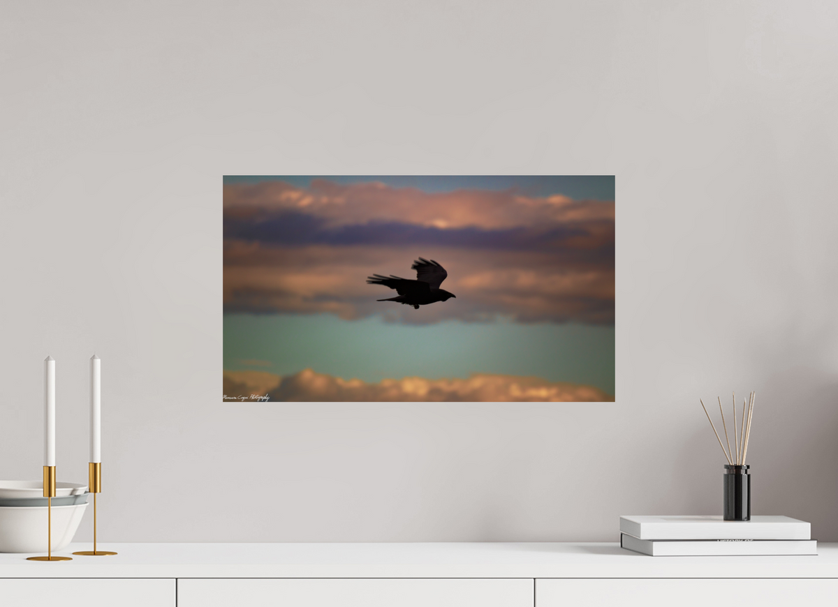 20.7 x 12″, ChromaLuxe Standard Crow at Chatfield State Park, Sunrise