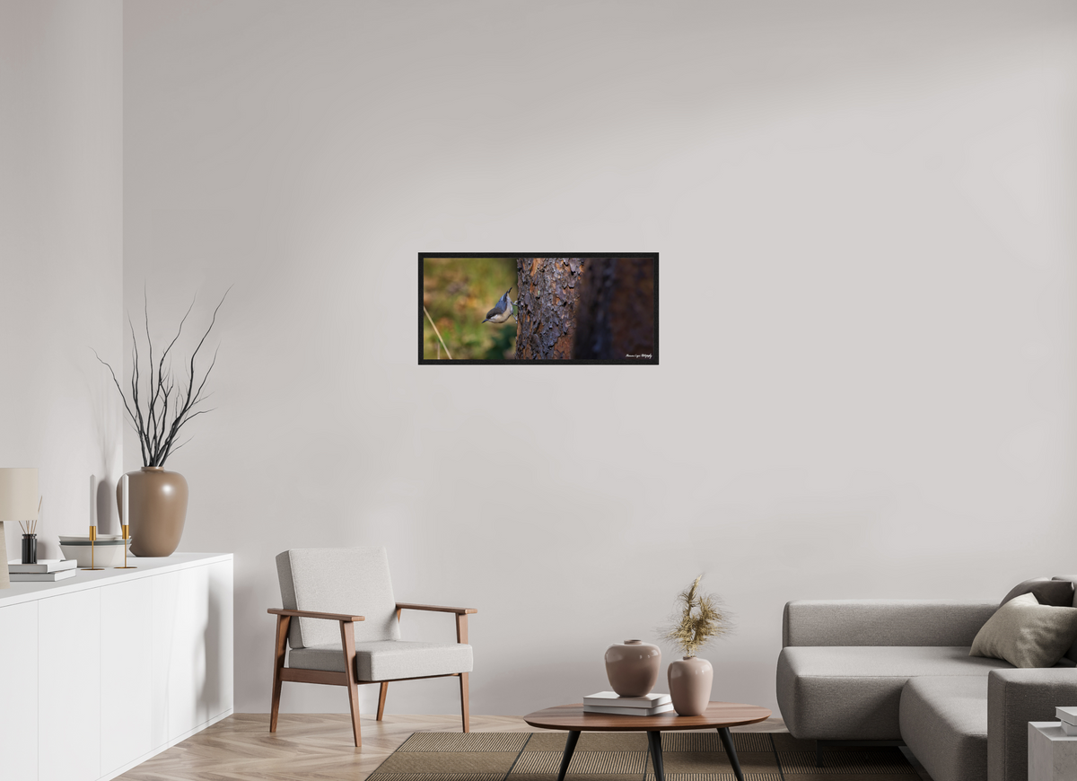35.4 x 16″, Glossy Acrylic Glass in Hamburg Frame (Black Oak) Chickadee in Lost Canyon Ranch