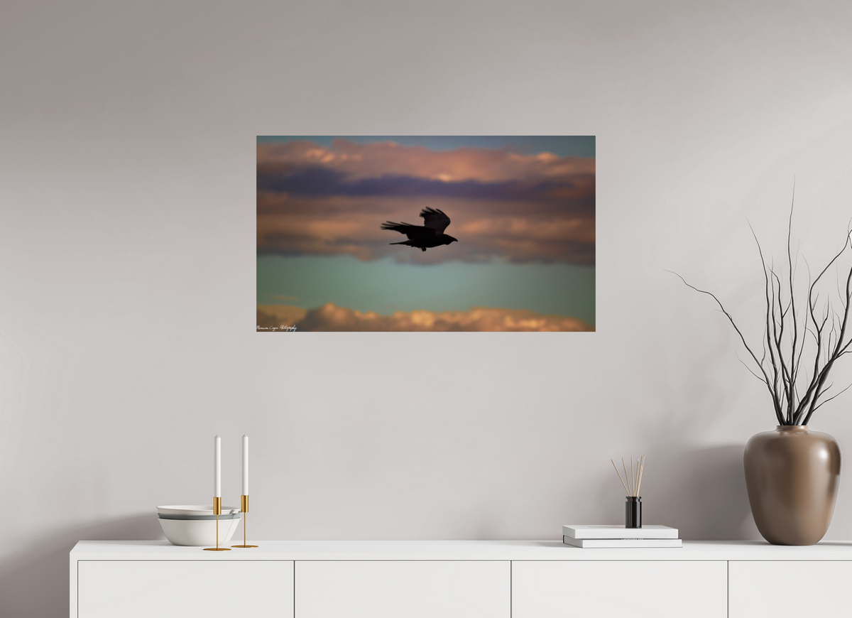 34.6 x 20″, ChromaLuxe Standard Crow at Chatfield State Park, Sunrise