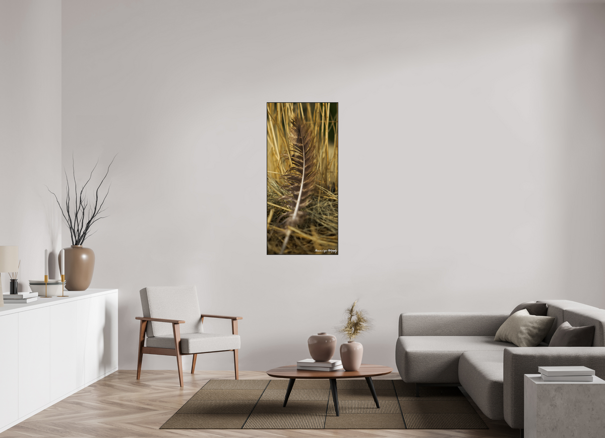 24 x 51.7″, Glossy Acrylic Glass in ArtBox Wood Frame (Black Oak) Feather Lost in Grass at Chatfield State Park