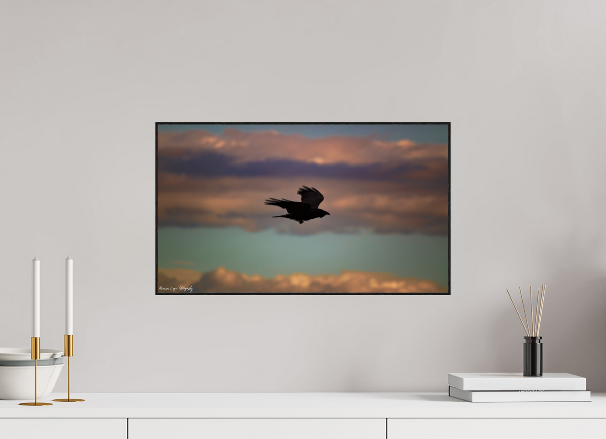 20.7 x 12″, Glossy Acrylic Glass in ArtBox Wood Frame (Black Oak) Crow at Chatfield State Park, Sunrise