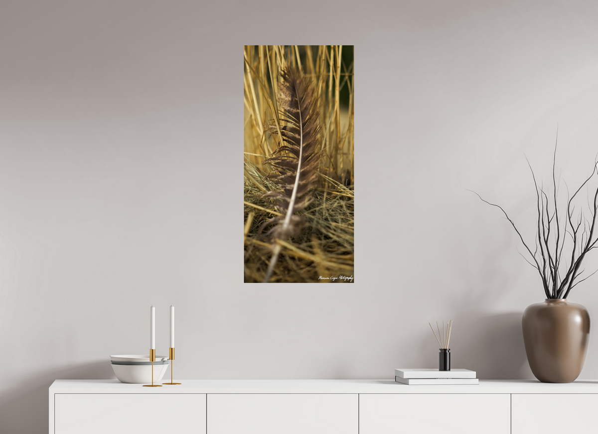 16 x 34.5″, ChromaLuxe HD Metal Print Feather Lost in Grass at Chatfield State Park