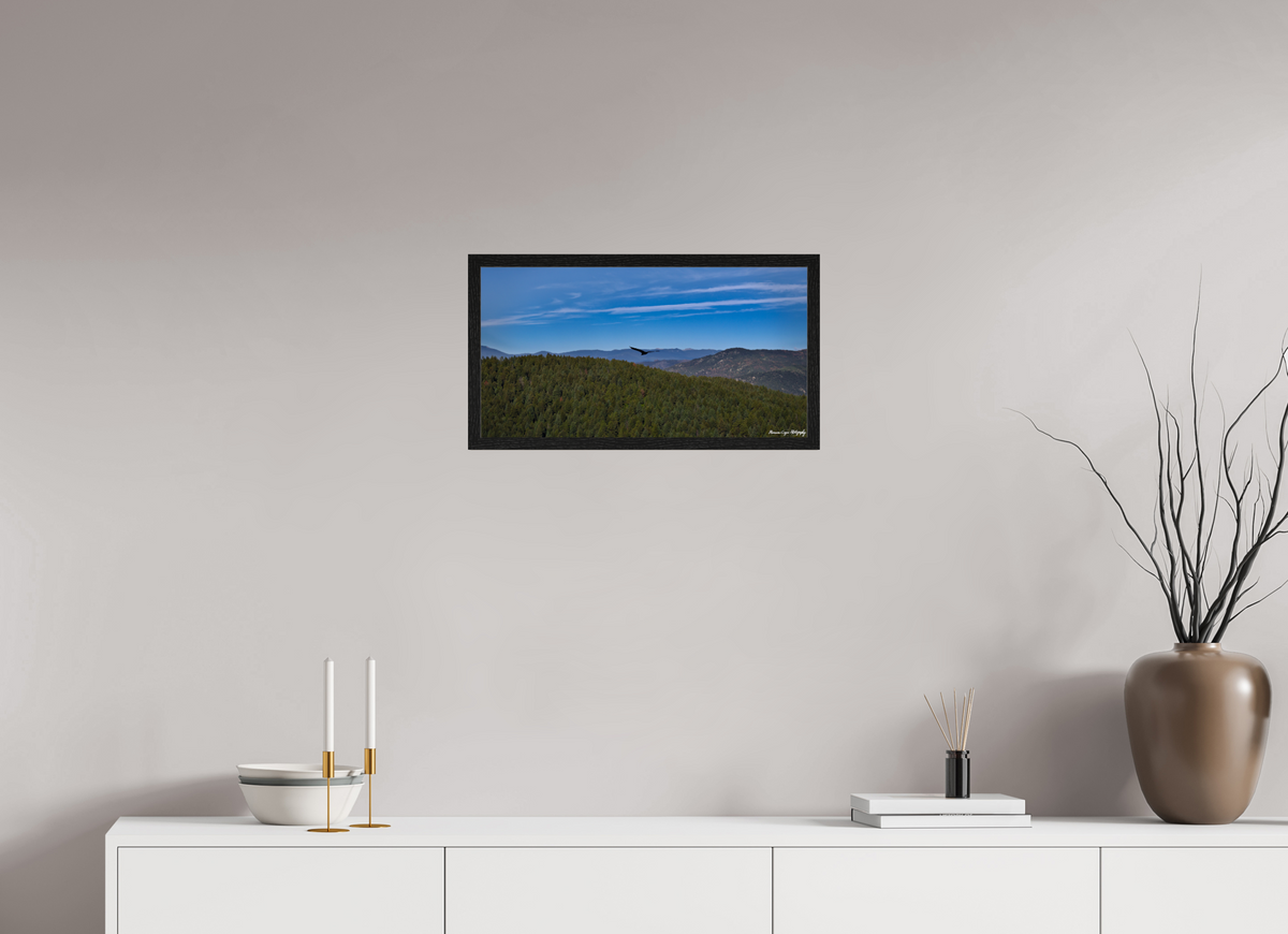 22.4 x 12″, Glossy Acrylic Glass in Hamburg Frame (Black Oak) Bird Soars Over Forest Behind Carpenter's Peak