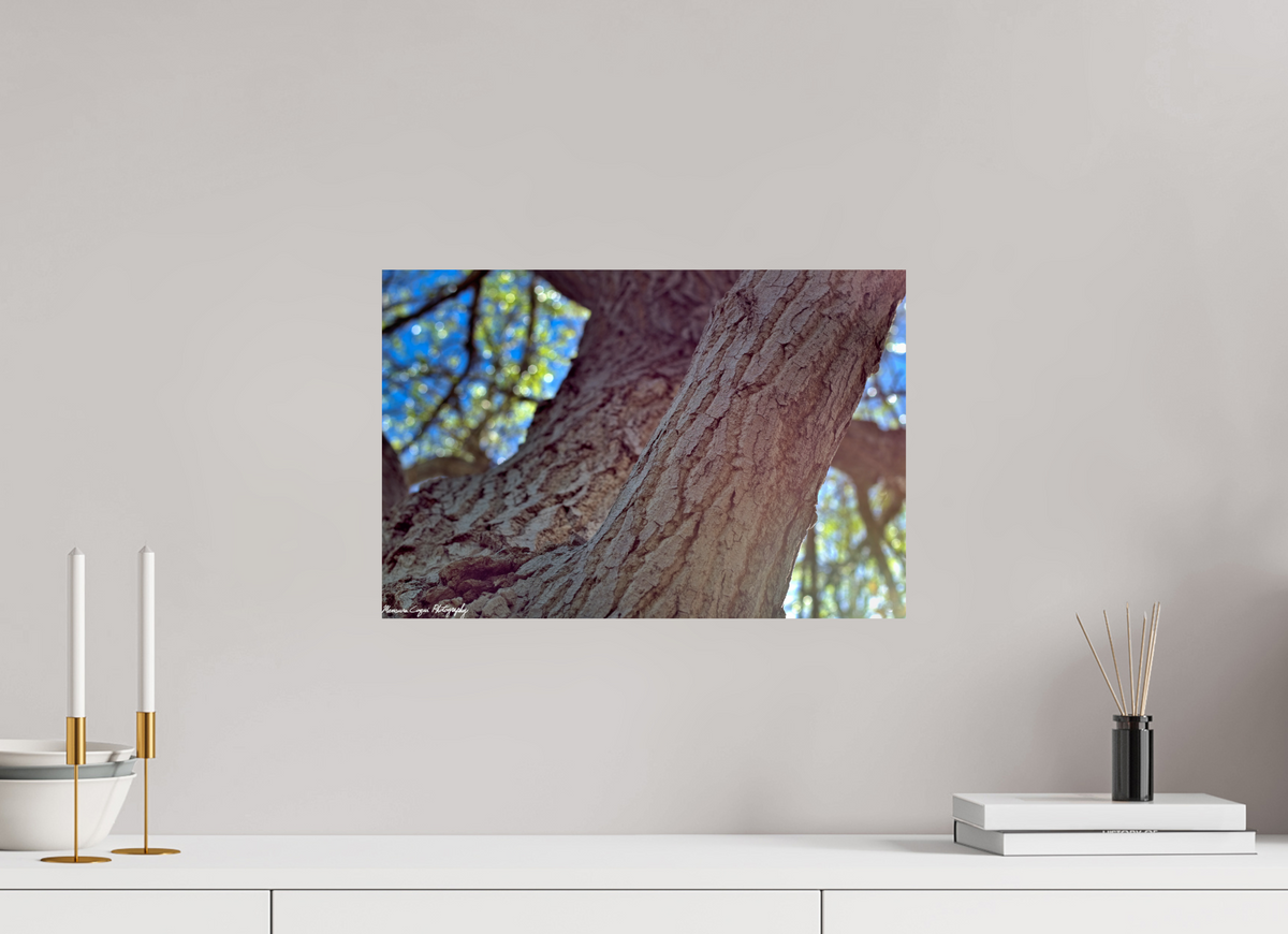 18 x 12″, ChromaLuxe Standard Cottonwood at Challenger Park
