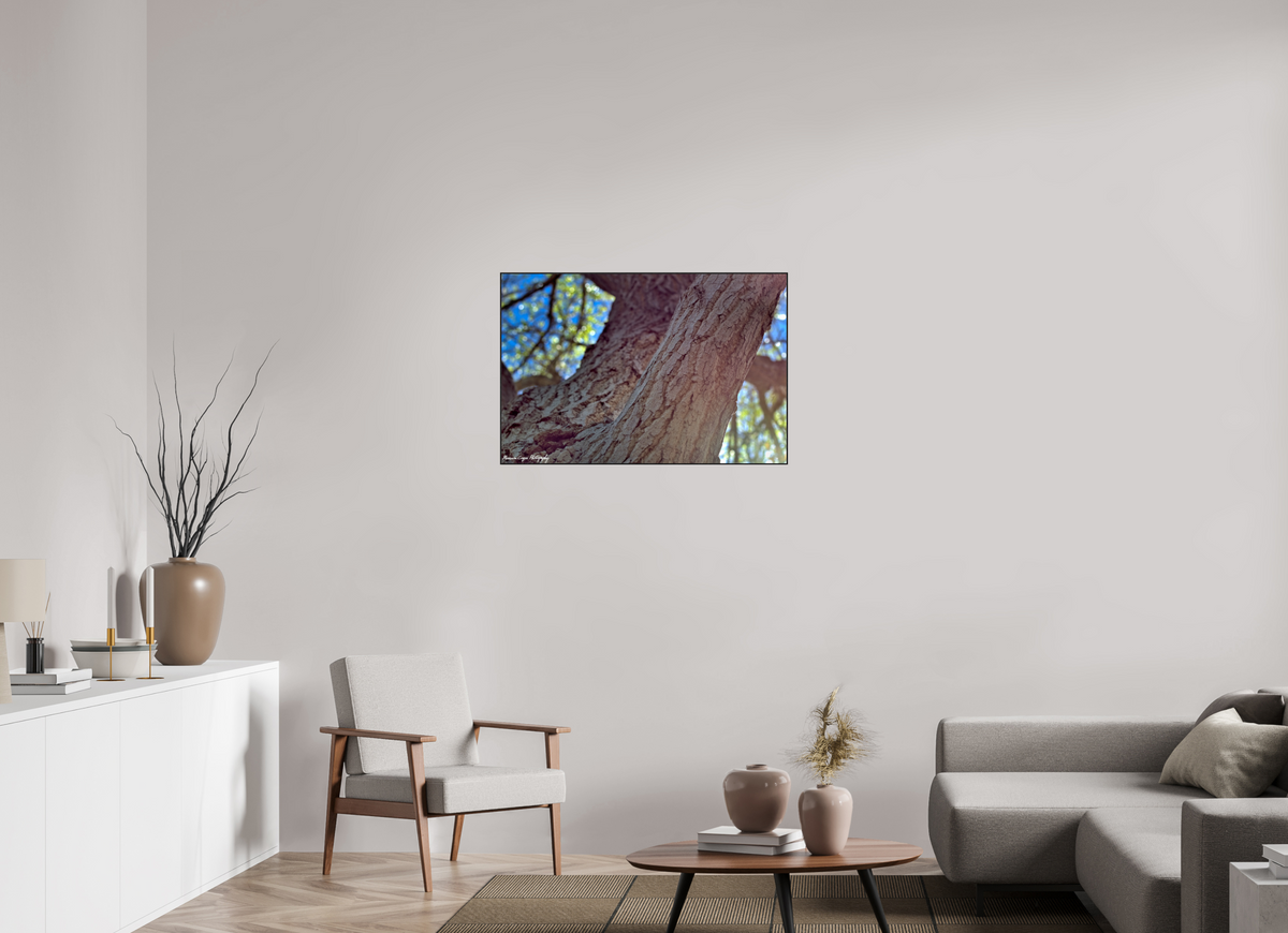 36.1 x 24″, Glossy Acrylic Glass in ArtBox Wood Frame (Black Oak) Cottonwood at Challenger Park