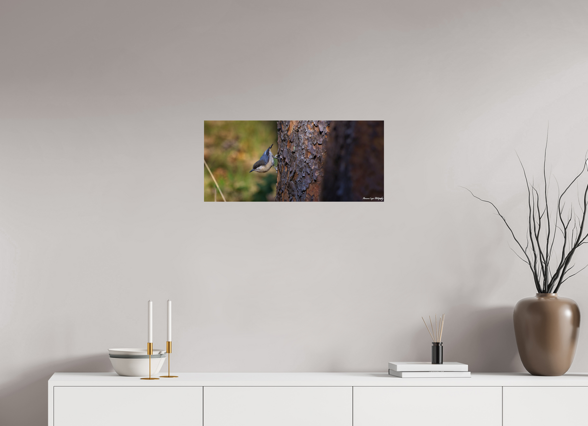 26.6 x 12″, ChromaLuxe HD Metal Print Chickadee in Lost Canyon Ranch