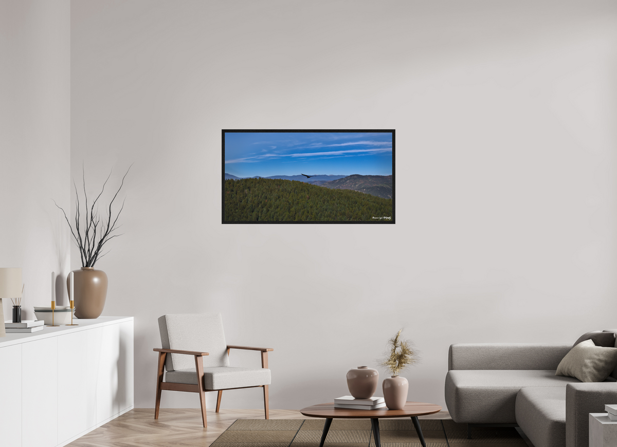 44.9 x 24″, Matte Acrylic Glass in Hamburg Frame (Black Oak) Bird Soars Over Forest Behind Carpenter's Peak