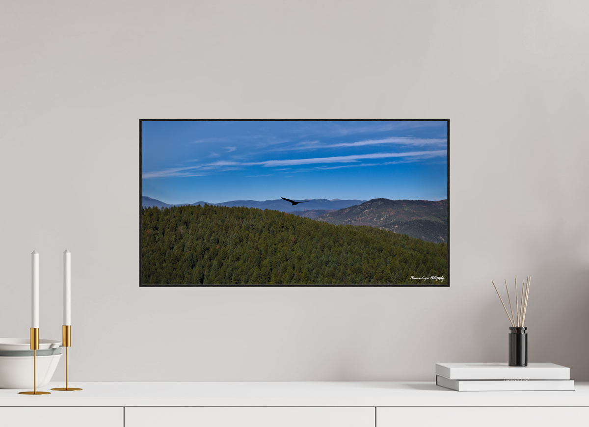22.4 x 12″, Glossy Acrylic Glass in ArtBox Wood Frame (Black Oak) Bird Soars Over Forest Behind Carpenter's Peak