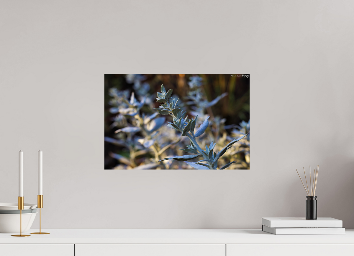 18.2 x 12″, ChromaLuxe HD Metal Print Silver Sagebrush in Deer Creek Canyon, Sunrise