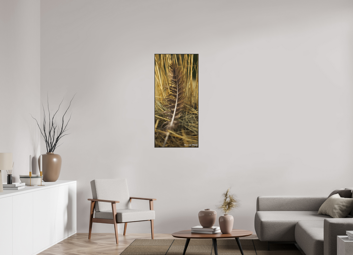 20 x 43.1″, Matte Acrylic Glass in ArtBox Wood Frame (Black Oak) Feather Lost in Grass at Chatfield State Park