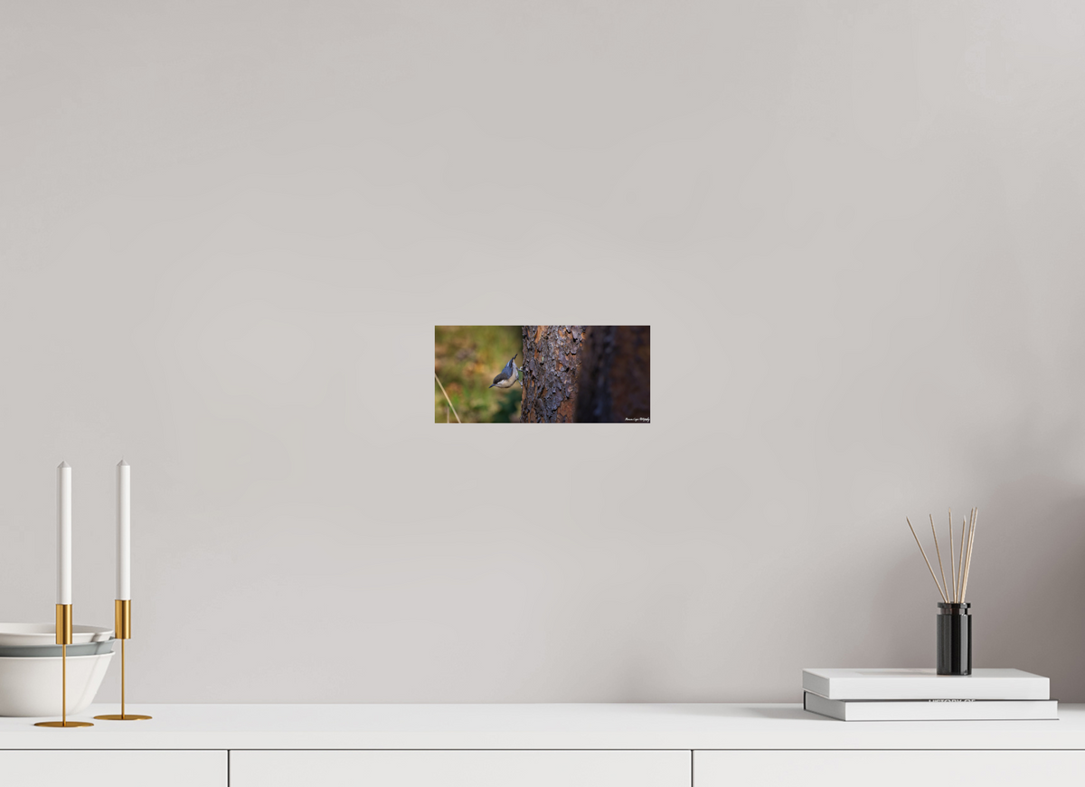 8.9 x 4″, ChromaLuxe HD Metal Print Chickadee in Lost Canyon Ranch