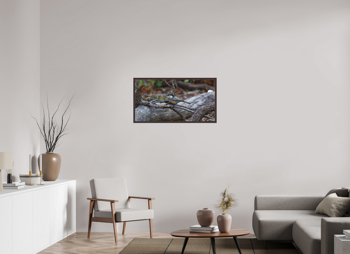 37.8 x 20″, Matte Acrylic Glass in Hamburg Frame (Alder Brown) Mountain Chickadee near Gem Lake