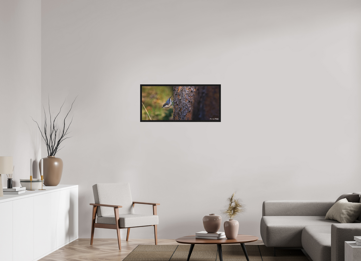 35.4 x 16″, Matte Acrylic Glass in Hamburg Frame (Black Oak) Chickadee in Lost Canyon Ranch