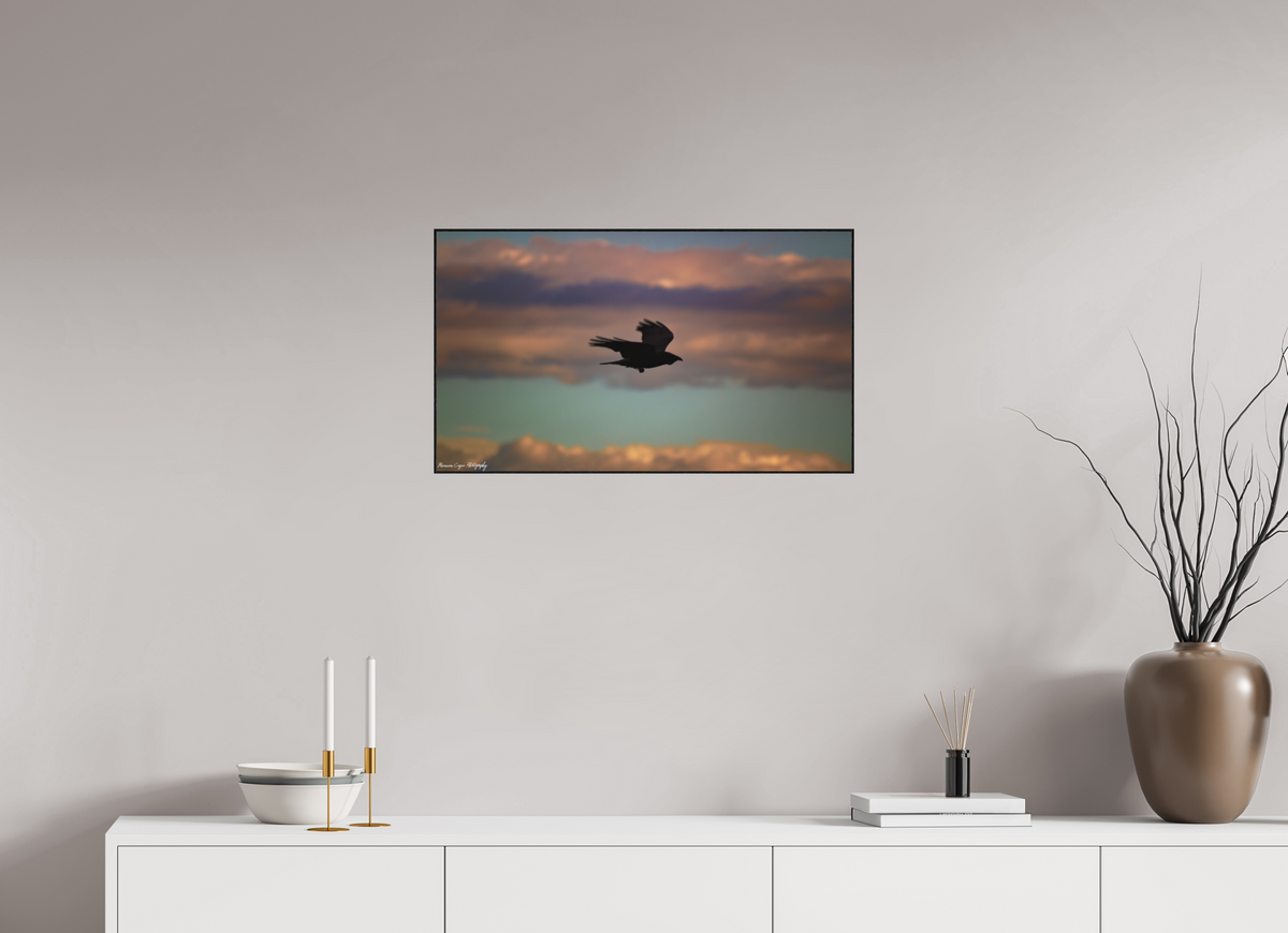27.6 x 16″, Matte Acrylic Glass in ArtBox Wood Frame (Black Oak) Crow at Chatfield State Park, Sunrise