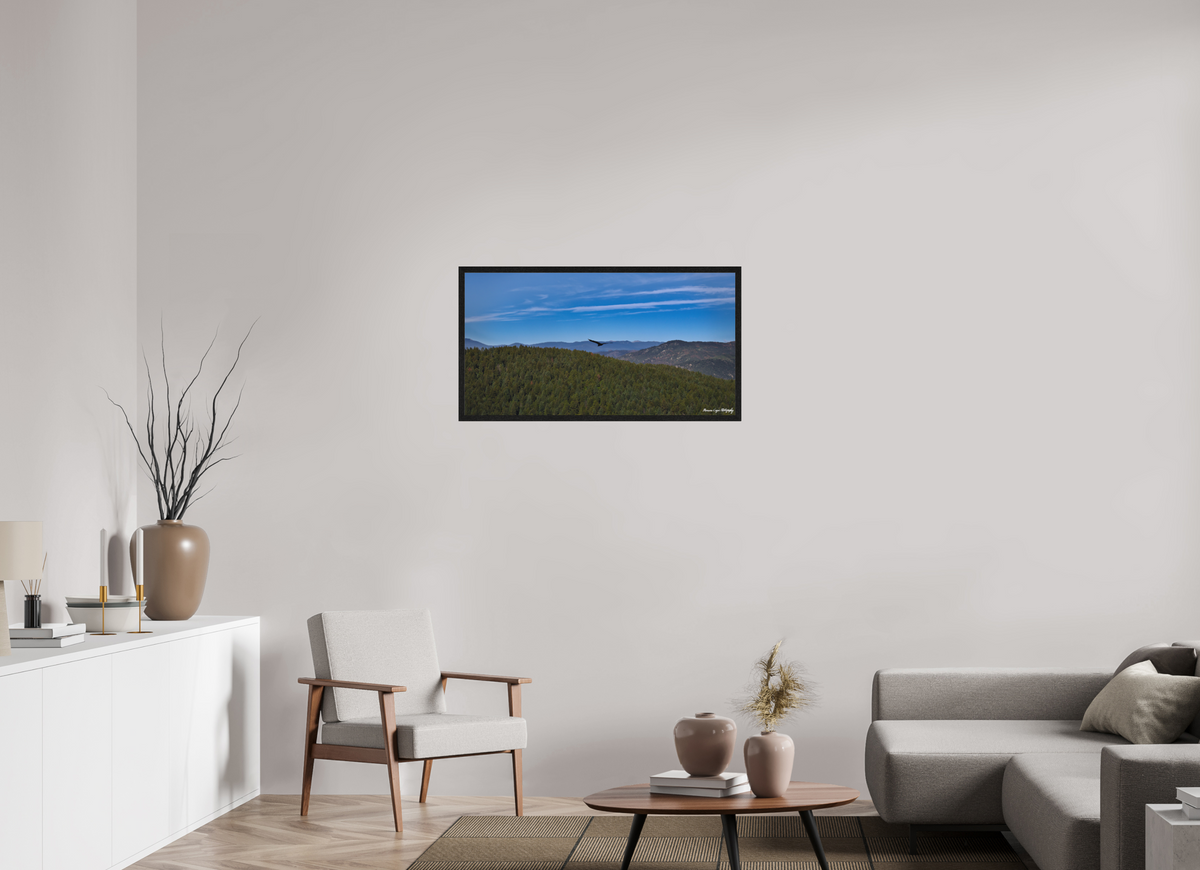 37.4 x 20″, Matte Acrylic Glass in Hamburg Frame (Black Oak) Bird Soars Over Forest Behind Carpenter's Peak