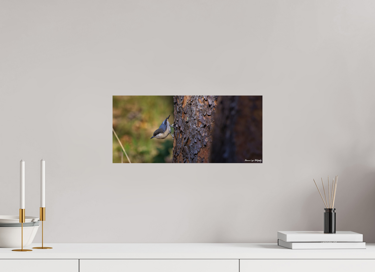 17.7 x 8″, ChromaLuxe HD Metal Print Chickadee in Lost Canyon Ranch