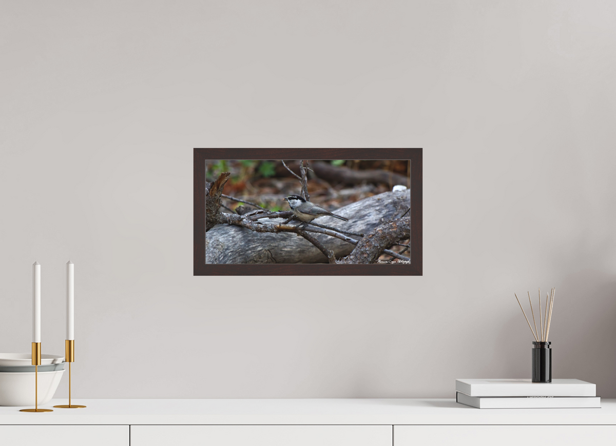 15.1 x 8″, Matte Acrylic Glass in Hamburg Frame (Alder Brown) Mountain Chickadee near Gem Lake