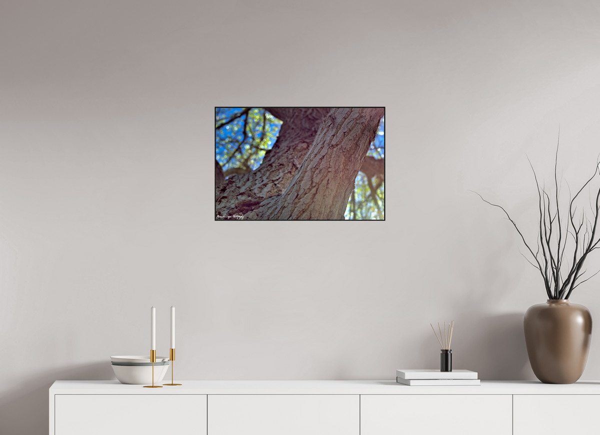 24.1 x 16″, Glossy Acrylic Glass in ArtBox Wood Frame (Black Oak) Cottonwood at Challenger Park