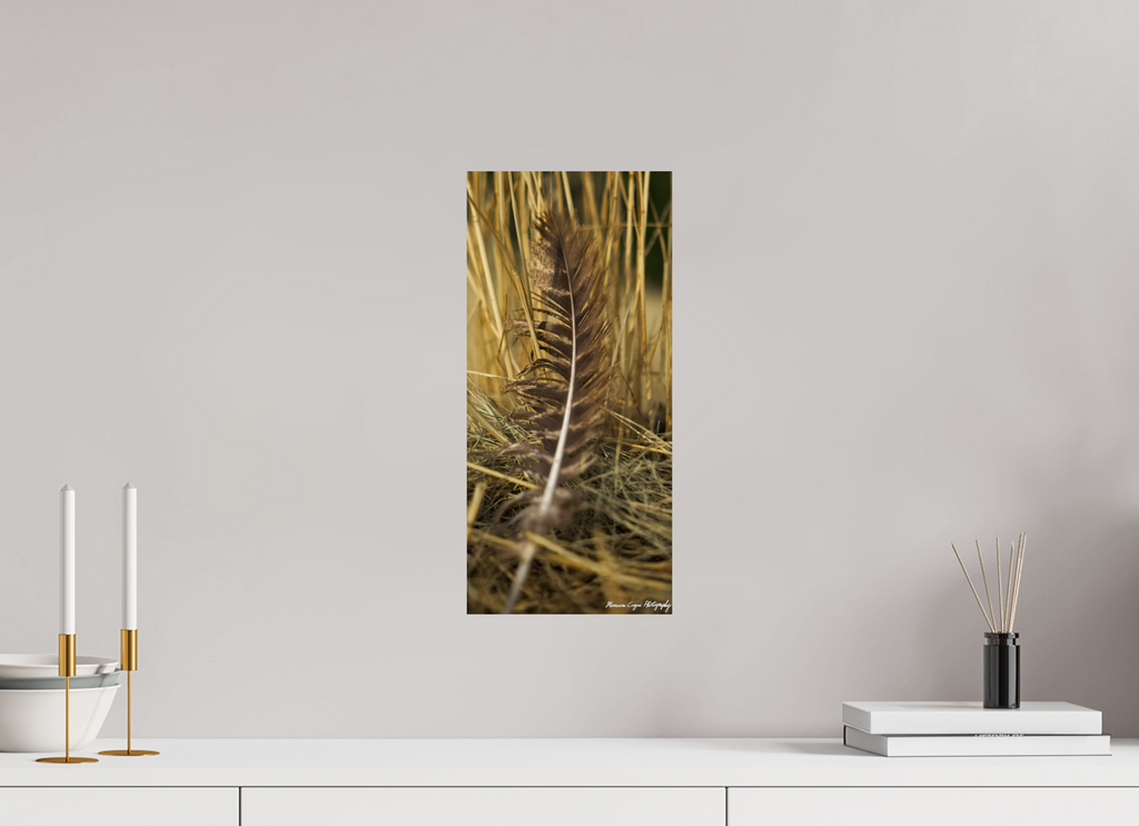 8 x 17.2″, ChromaLuxe HD Metal Print Feather Lost in Grass at Chatfield State Park