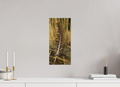 8 x 17.2″, ChromaLuxe HD Metal Print Feather Lost in Grass at Chatfield State Park