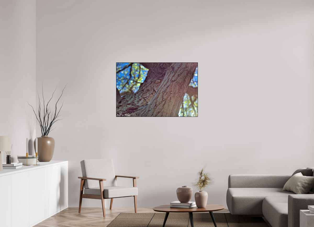 42.1 x 28″, Matte Acrylic Glass in ArtBox Wood Frame (Black Oak) Cottonwood at Challenger Park