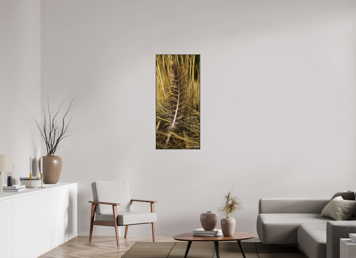 20 x 43.1″, Glossy Acrylic Glass in ArtBox Wood Frame (Black Oak) Feather Lost in Grass at Chatfield State Park