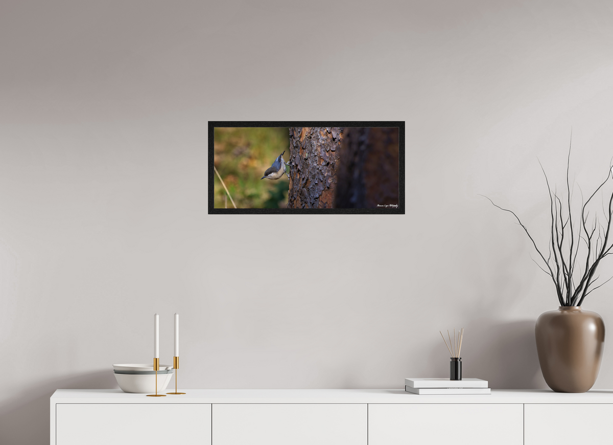 26.6 x 12″, Glossy Acrylic Glass in Hamburg Frame (Black Oak) Chickadee in Lost Canyon Ranch