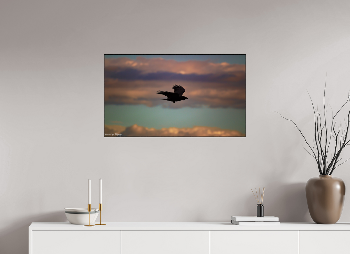 34.6 x 20″, Glossy Acrylic Glass in ArtBox Wood Frame (Black Oak) Crow at Chatfield State Park, Sunrise